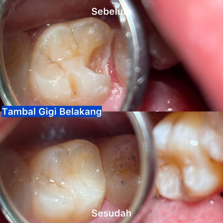 WhatsApp Image 2026-03-20 at 22.18.11 (1)